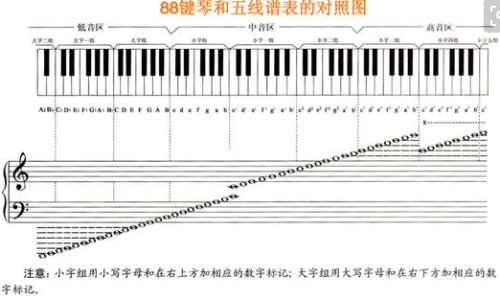 三百大卡相当于什么食物-三百大卡是多少脂肪网 :分享300大卡什么概念-三百大卡是多少脂肪啊知识