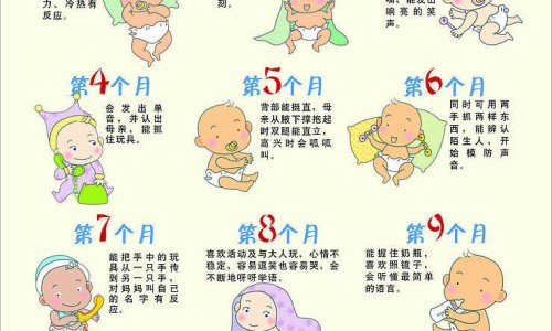 三百大卡是多少脂肪网 :分享300大卡什么概念-三百大卡是多少脂肪啊知识
